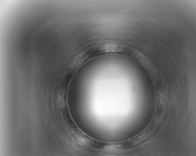 X0000060810422200511171313