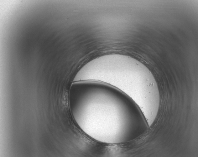 X0000060810425200511171313