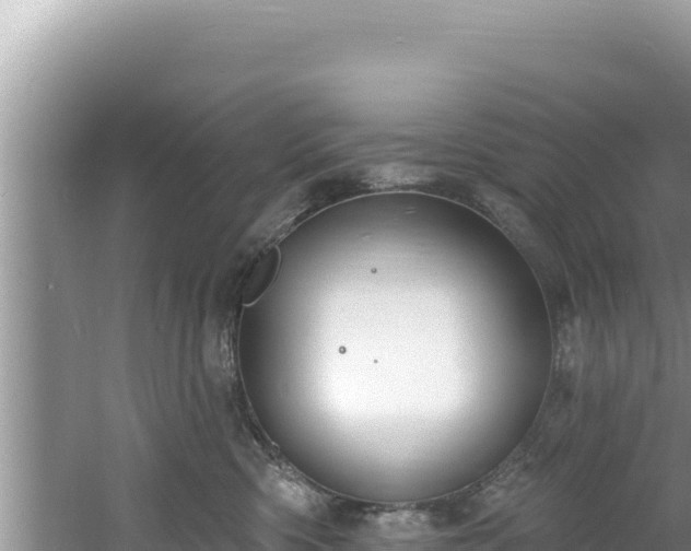 X0000060810426200511171313