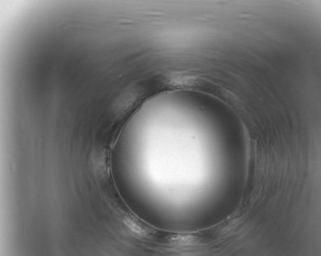 X0000060810428200511171313