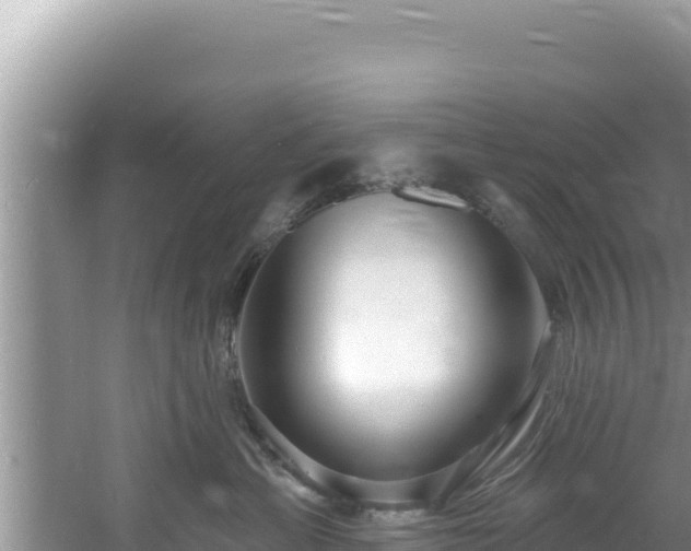 X0000060810429200511171313