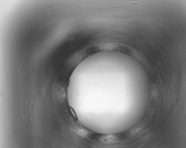 X0000060810431200511171313