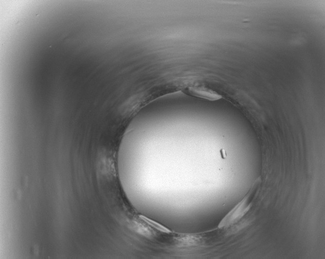 X0000060810432200511171313