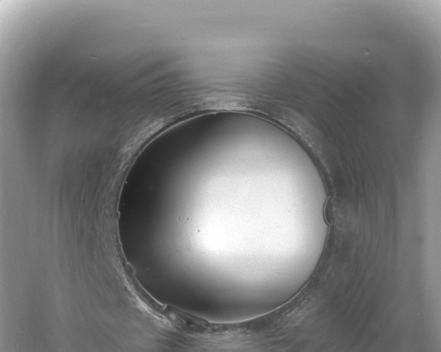 X0000060810433200511171312