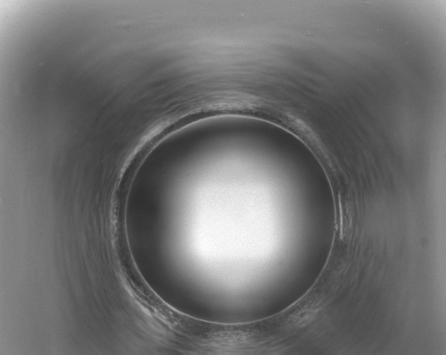 X0000060810435200511171312