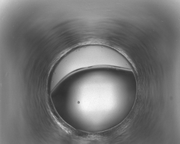 X0000060810437200511171312