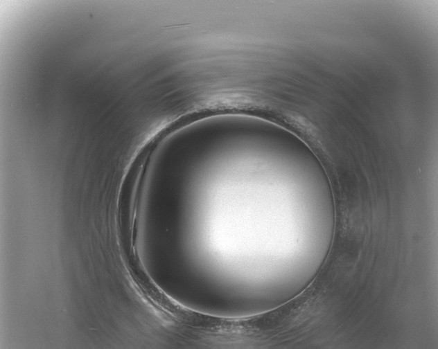 X0000060810439200511171312