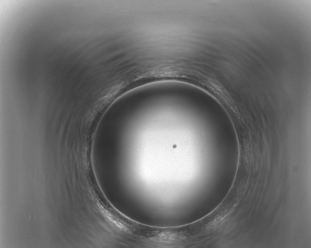 X0000060810441200511171312