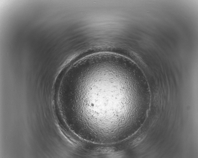 X0000060810443200511171312