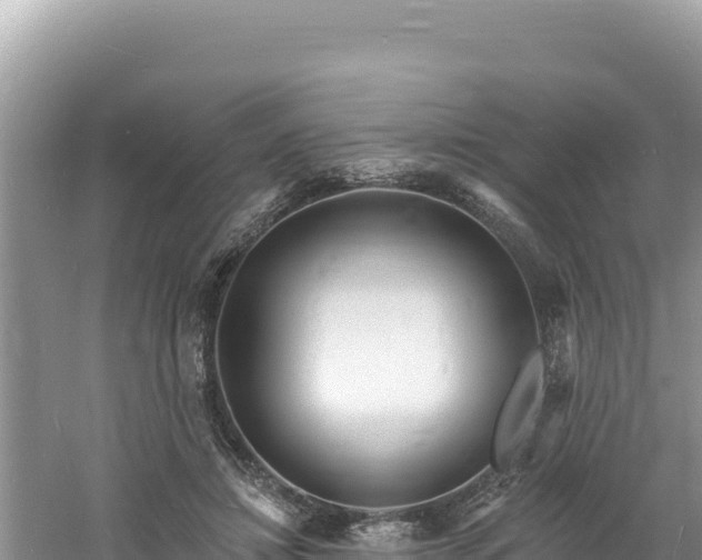 X0000060810452200511171313