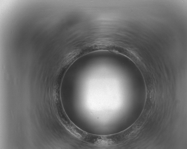 X0000060810455200511171313