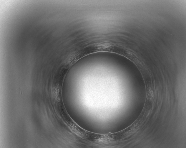 X0000060810468200511171313