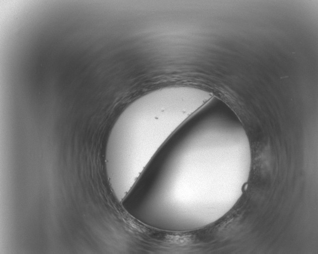 X0000060810469200511171313