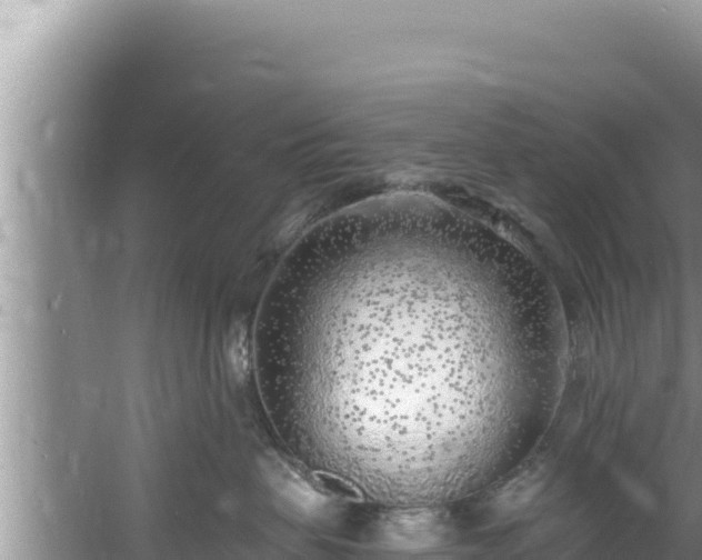 X0000060810479200511171313