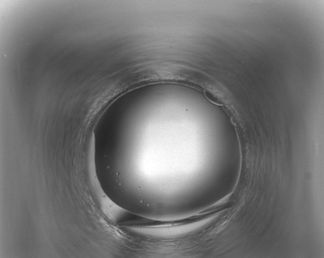 X0000060810481200511171312