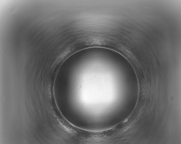 X0000060810489200511171312