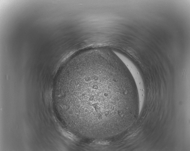 X0000060810491200511171312