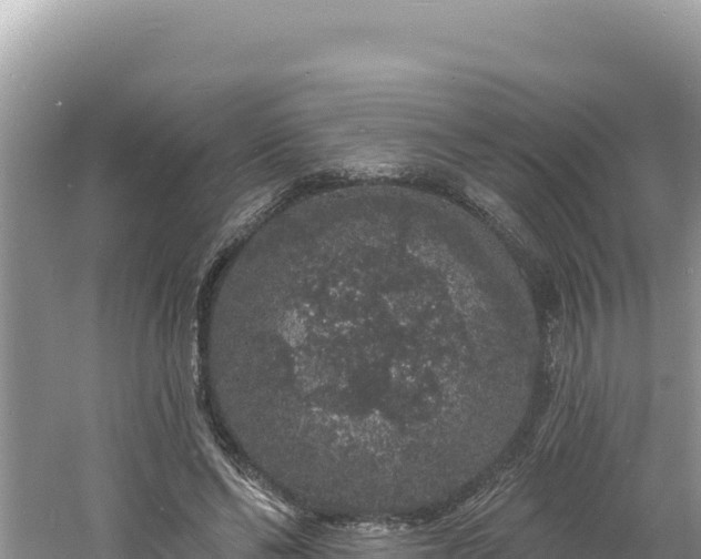 X0000060810494200511171312