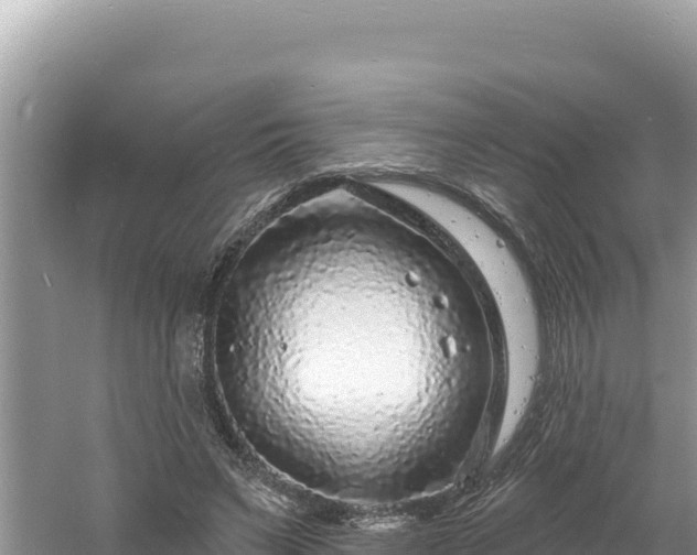 X0000060810495200511171312