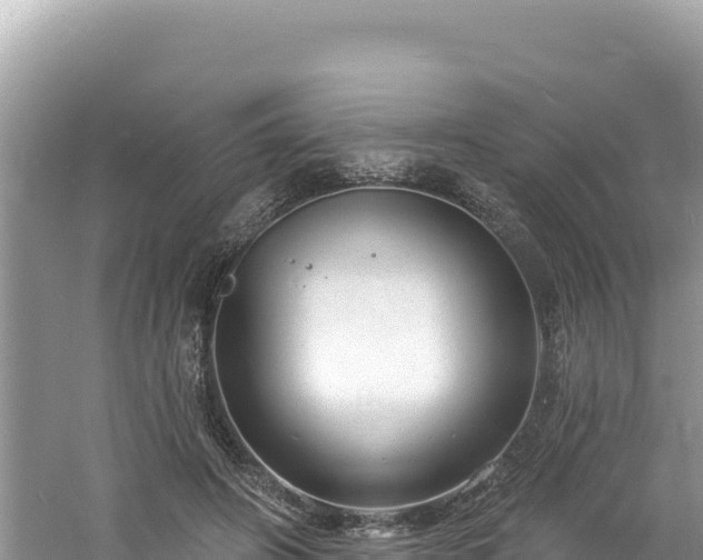 X0000060810498200511171312