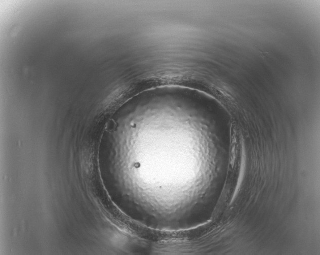 X0000060810499200511171312