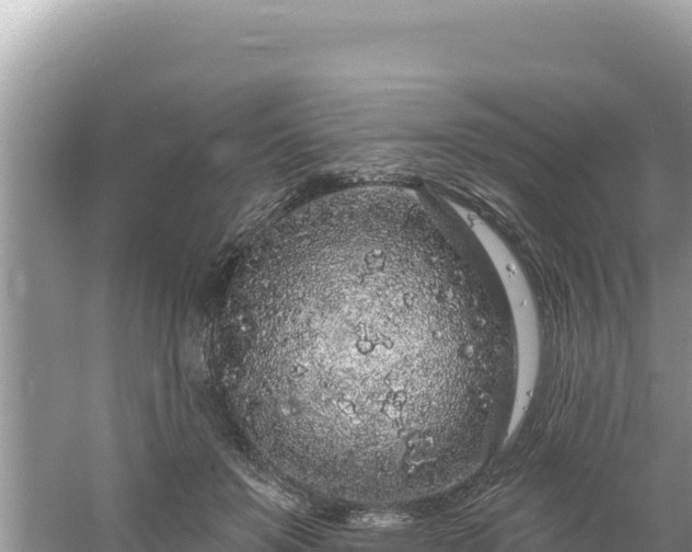 X0000060810503200511171312