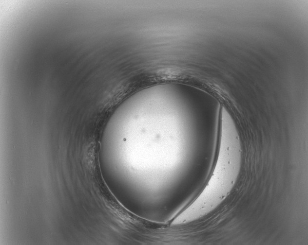 X0000060810509200511171312