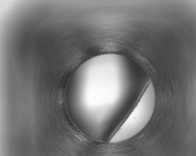 X0000060810517200511171312