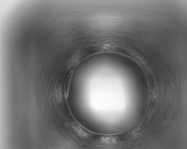 X0000060810520200511171312