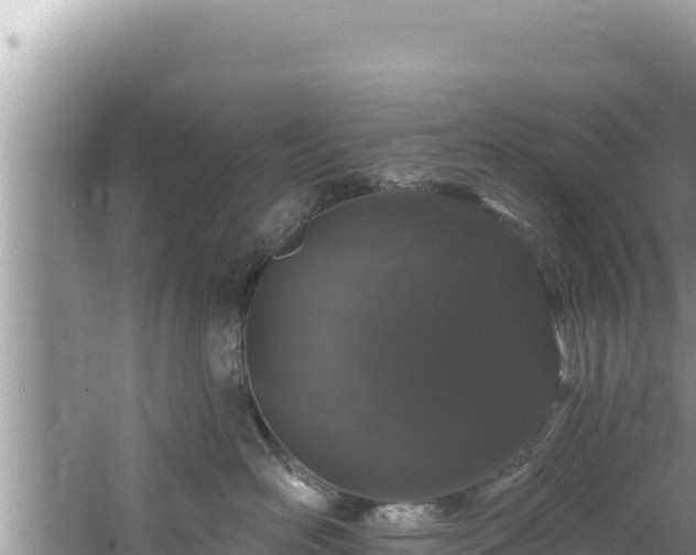 X0000060810526200511171312