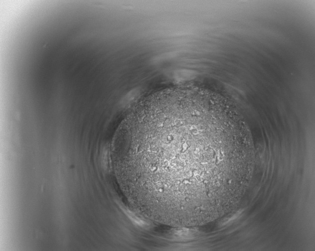 X0000060810527200511171312