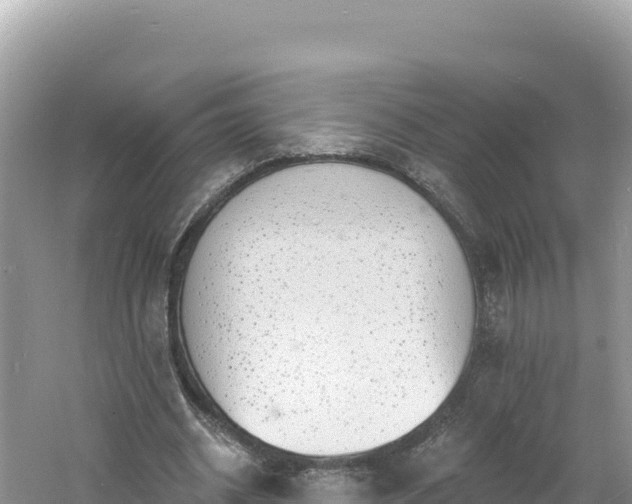 X0000060810534200511171311