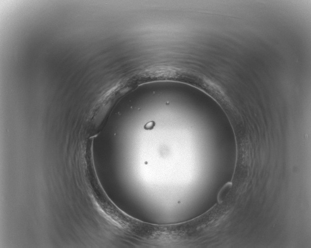 X0000060810538200511171311