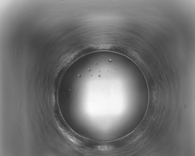 X0000060810541200511171311