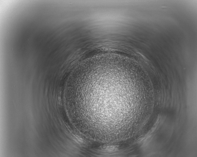 X0000060810553200511171311