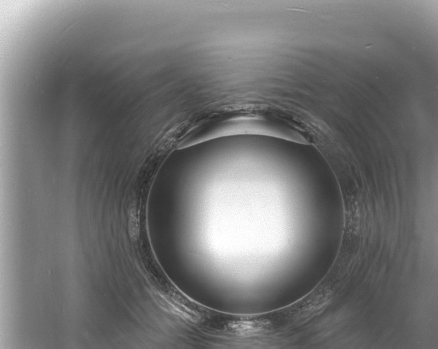 X0000060810558200511171311