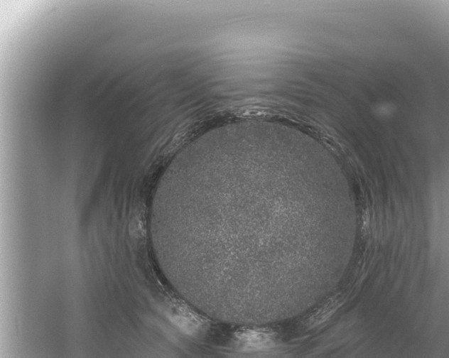 X0000060810561200511171311