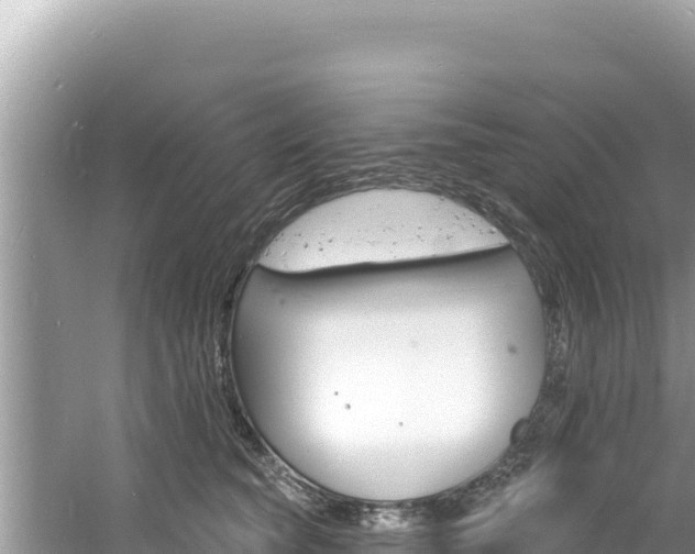 X0000060810565200511171311