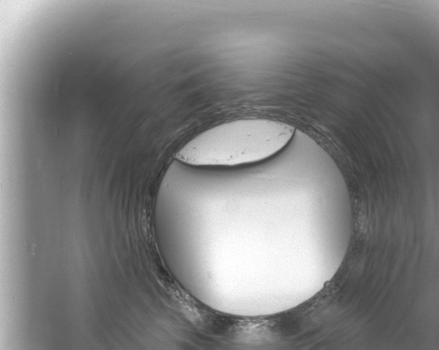 X0000060810569200511171311