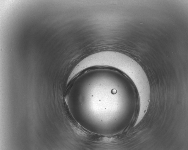 X0000060810570200511171311