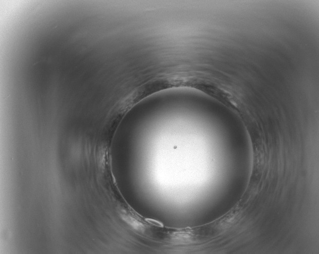 X0000060810574200511171311