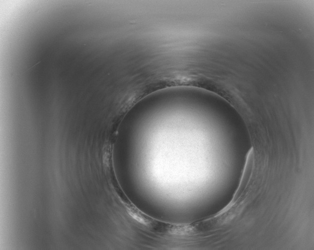 X0000060810576200511171311