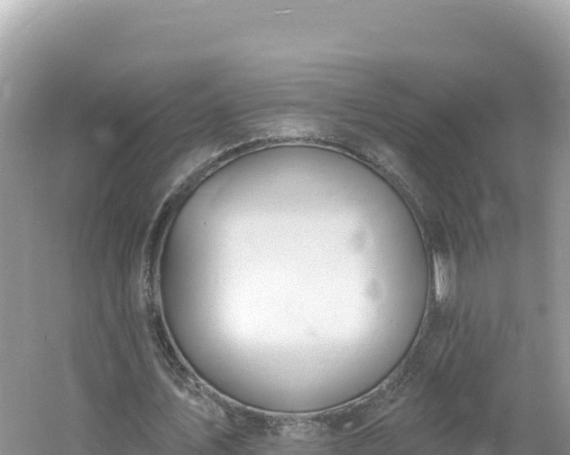 X0000060810579200511171311