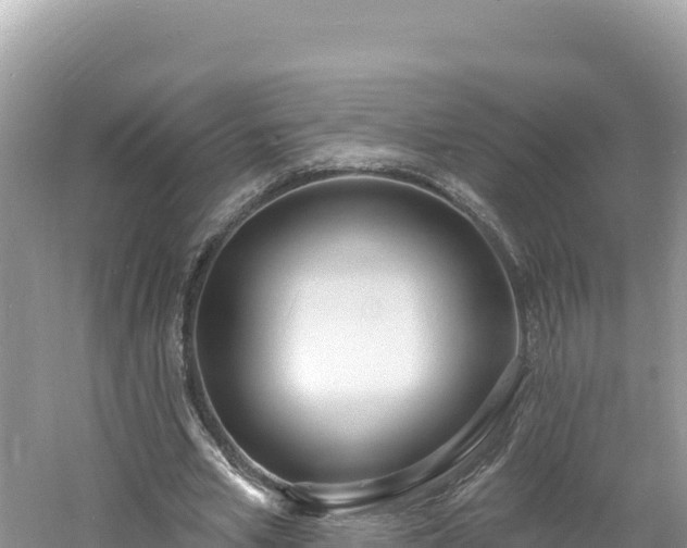 X0000060810581200511171311