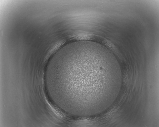 X0000060810586200511171310