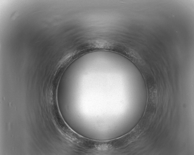 X0000060810587200511171310