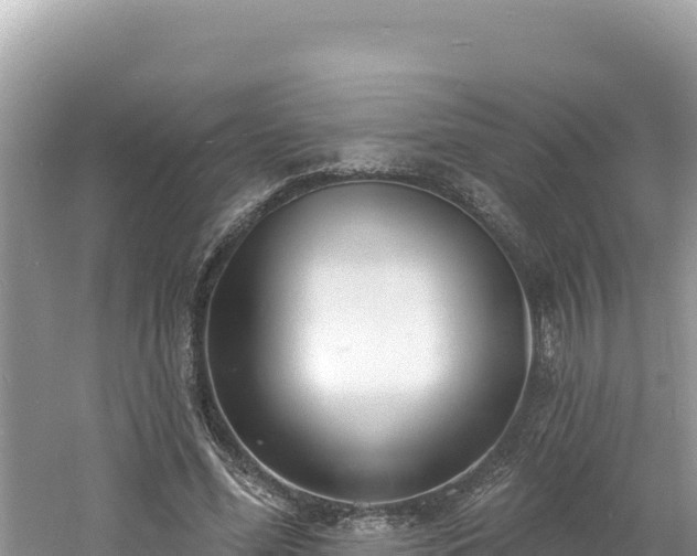 X0000060810588200511171310