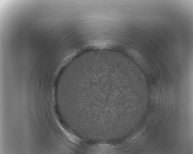 X0000060810590200511171310