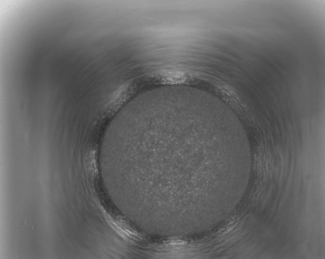 X0000060810598200511171310