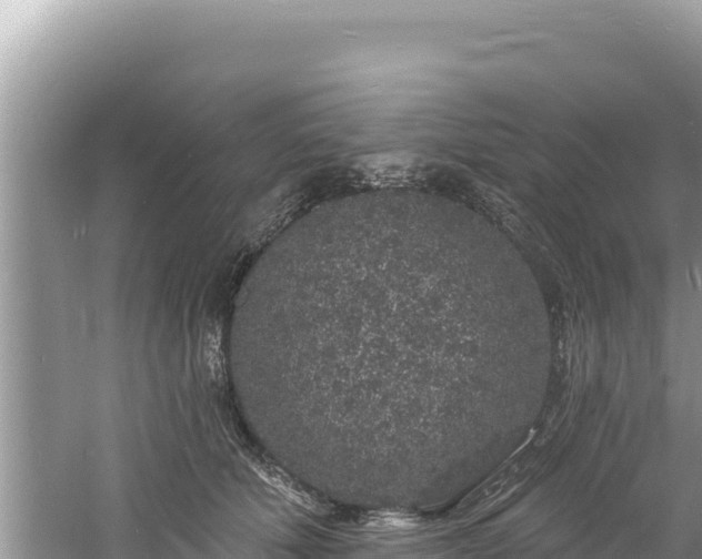 X0000060810610200511171310